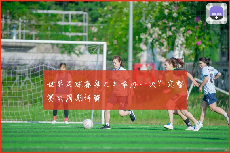 世界足球赛每几年举办一次？完整赛制周期详解