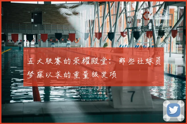 五大联赛的荣耀殿堂：那些让球员梦寐以求的重量级奖项